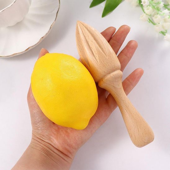 gros citron et presse agrumes dans paume de main