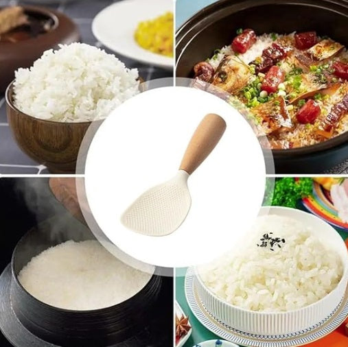 divers-mets-de-riz-derrière-image-de-spatule-au-centre