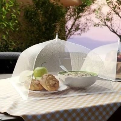 cloche-alimentaire-sur-table-de-pique-nique