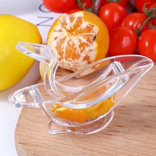 tranche d'orange pressé dans presse agrumes oiseau