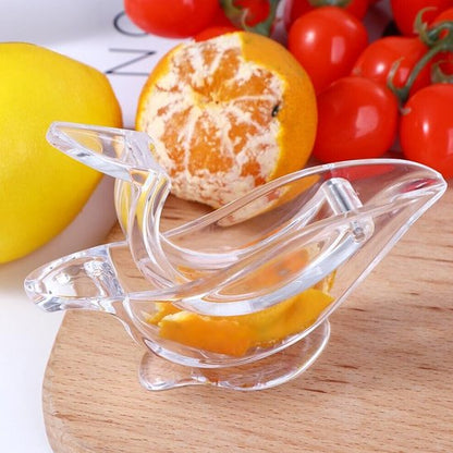 tranche d'orange pressé dans presse agrumes oiseau