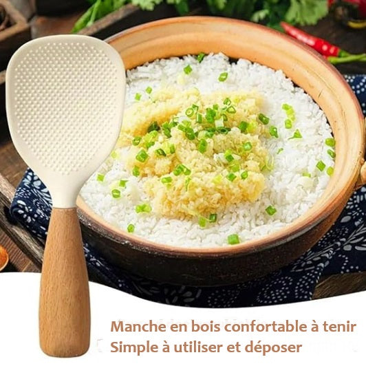 spatule-a-riz-devant-bol-de-riz-avec-onions-verts